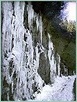 Ice near Newfound Gap -   Images by GLB photo