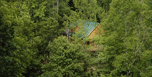 Kathy's Cabin in the woods