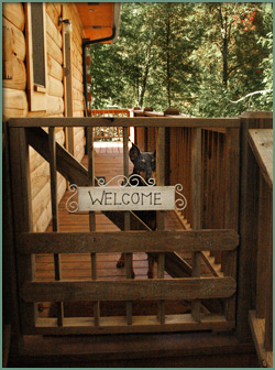 "Tookie", our 10 year old Dobie adopted from new orleans after Katrina sits behind our newly constructed porch gate.